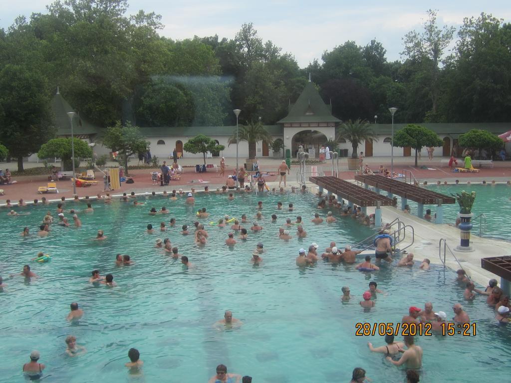 Gyoengyvirag Ueduelo - Mario Apartman Harkány Cameră foto