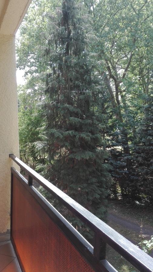 Gyoengyvirag Ueduelo - Mario Apartman Harkány Exterior foto